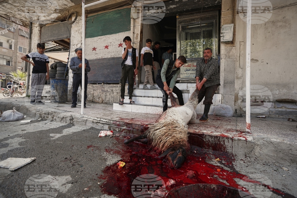 Syria Eid al-Adha
