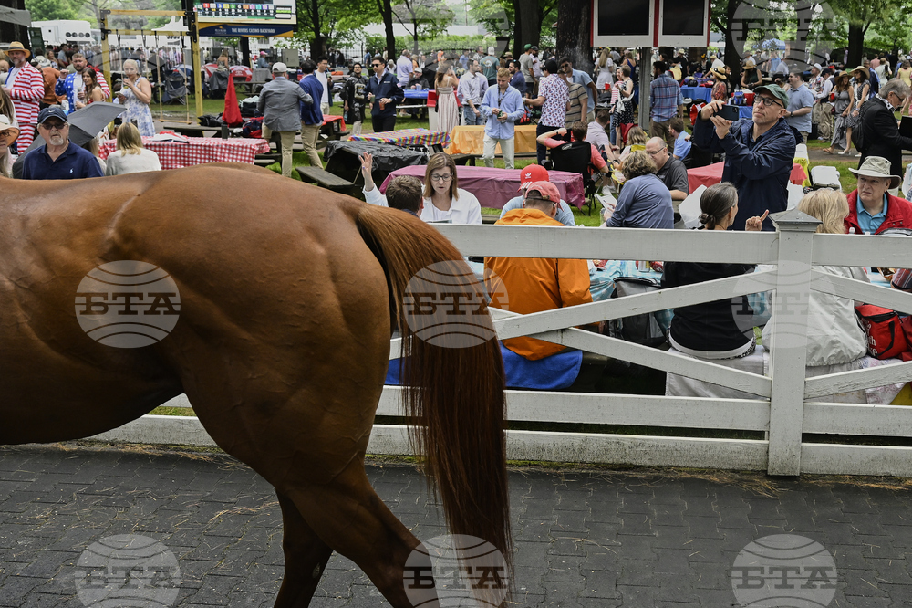 Belmont Stakes Horse Racing
