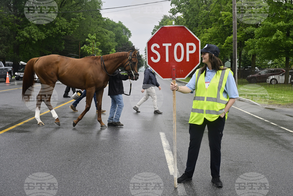 Belmont Stakes Horse Racing