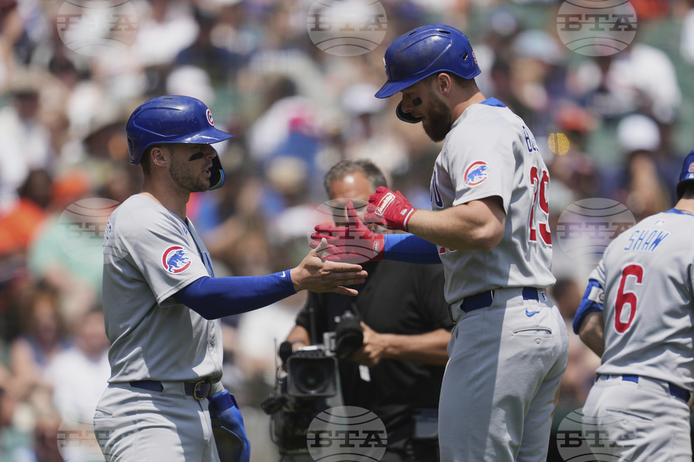 Cubs Tigers Baseball