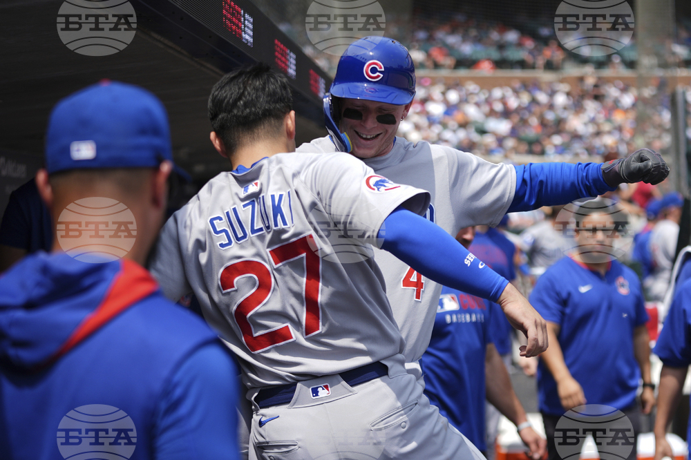 Cubs Tigers Baseball