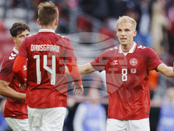 Denmark Northern Ireland Soccer