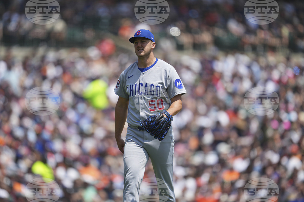 Cubs Tigers Baseball