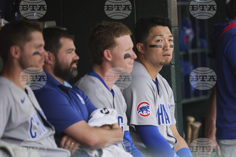 Cubs Tigers Baseball