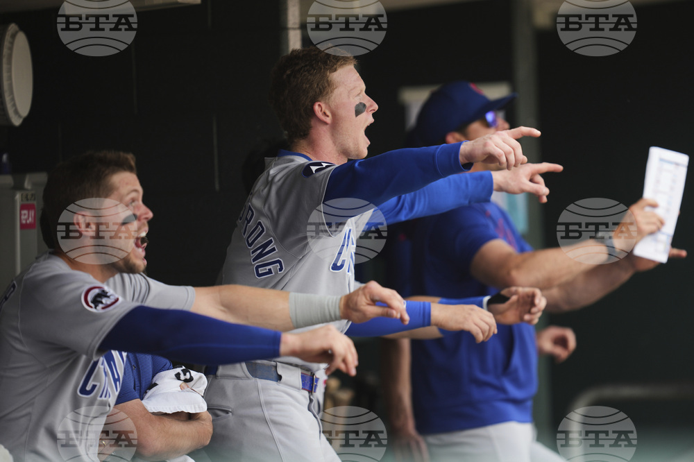 Cubs Tigers Baseball