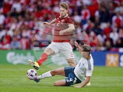 Denmark Northern Ireland Soccer