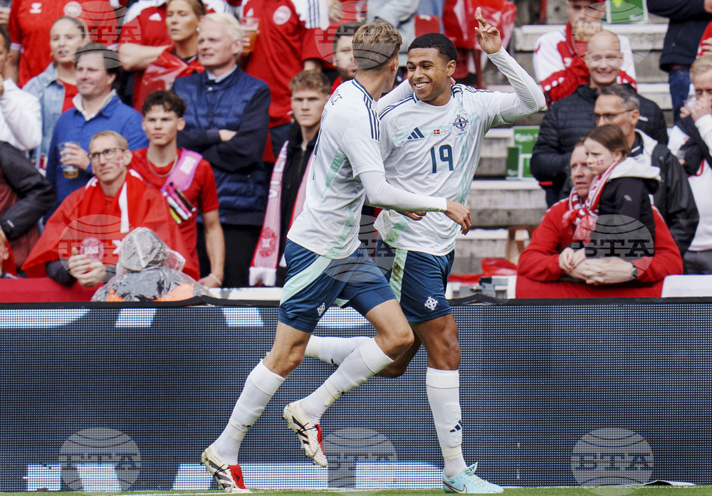 Denmark Northern Ireland Soccer