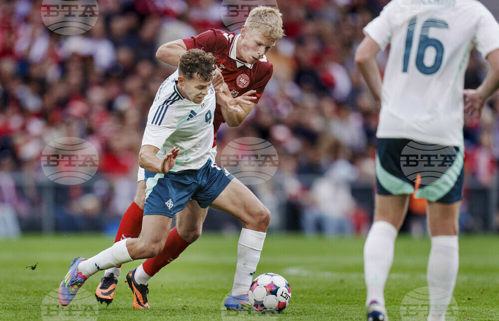 Denmark Northern Ireland Soccer
