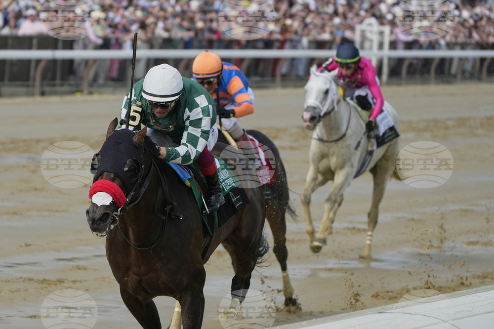 Belmont Stakes Horse Racing