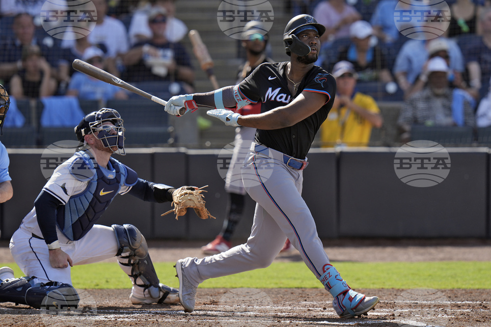 Marlins Rays Baseball