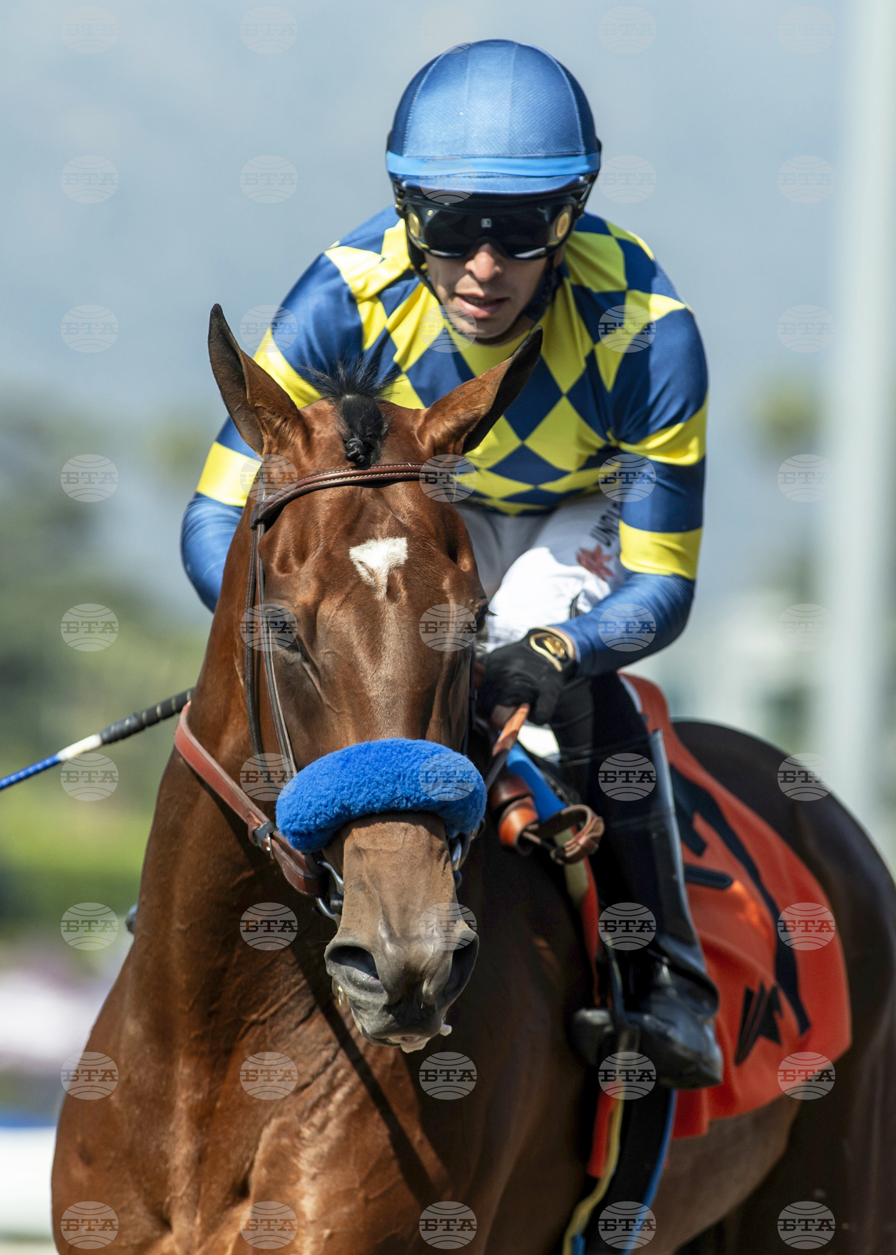 Santa Anita Horse Racing