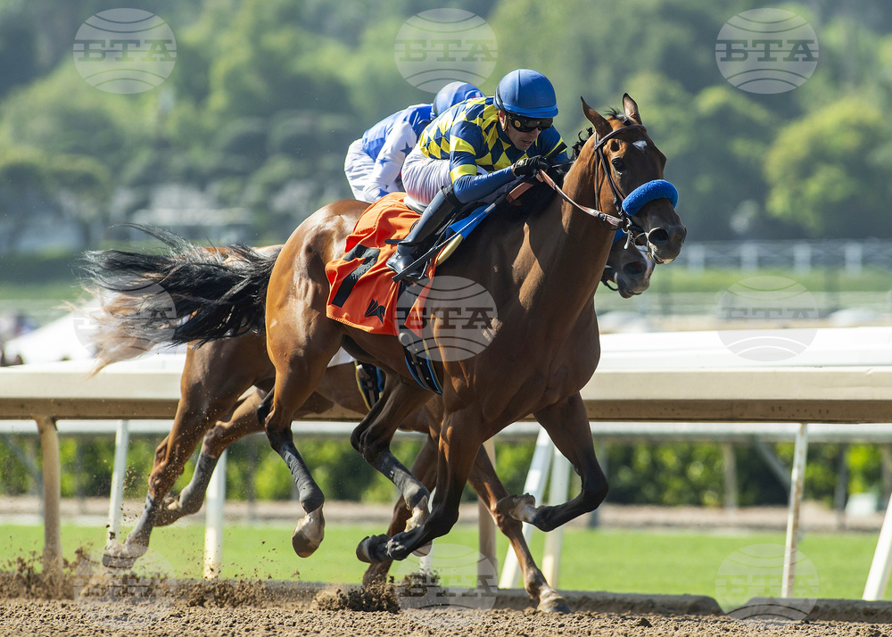 Santa Anita Horse Racing