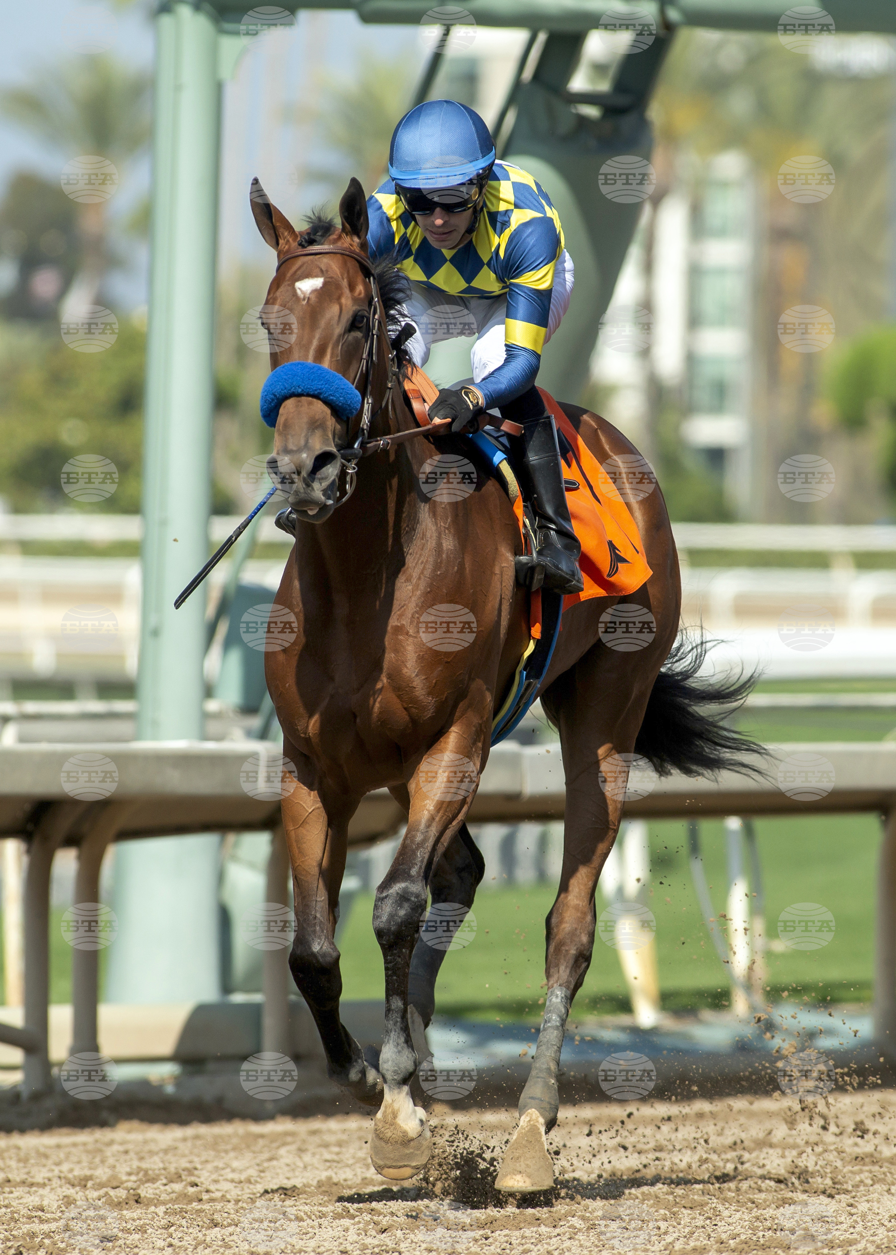 Santa Anita Horse Racing