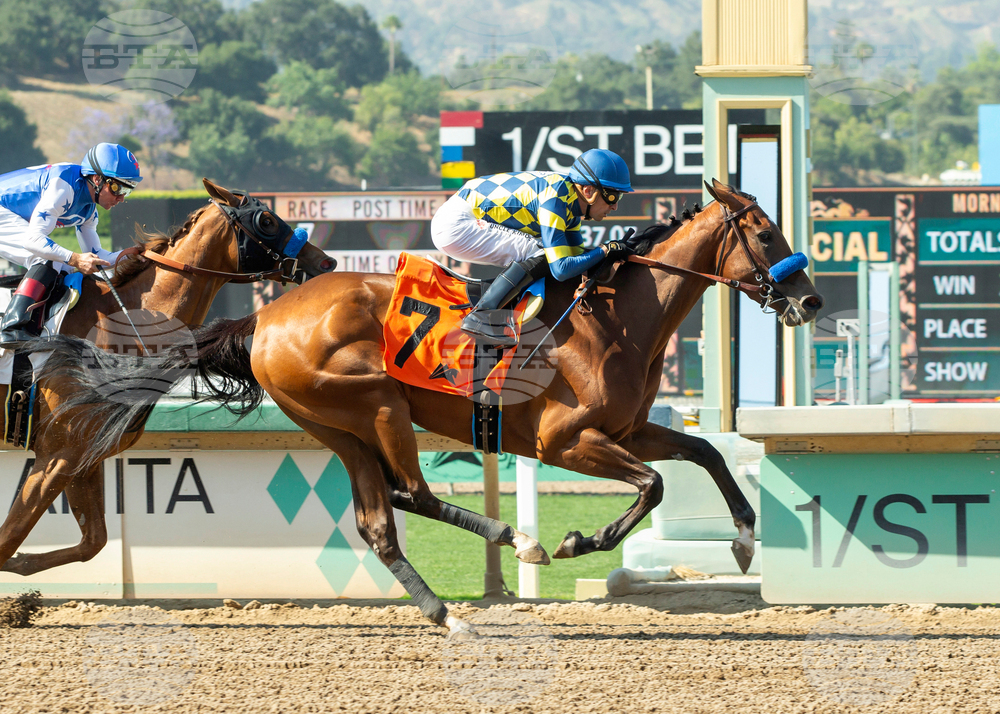 Santa Anita Horse Racing