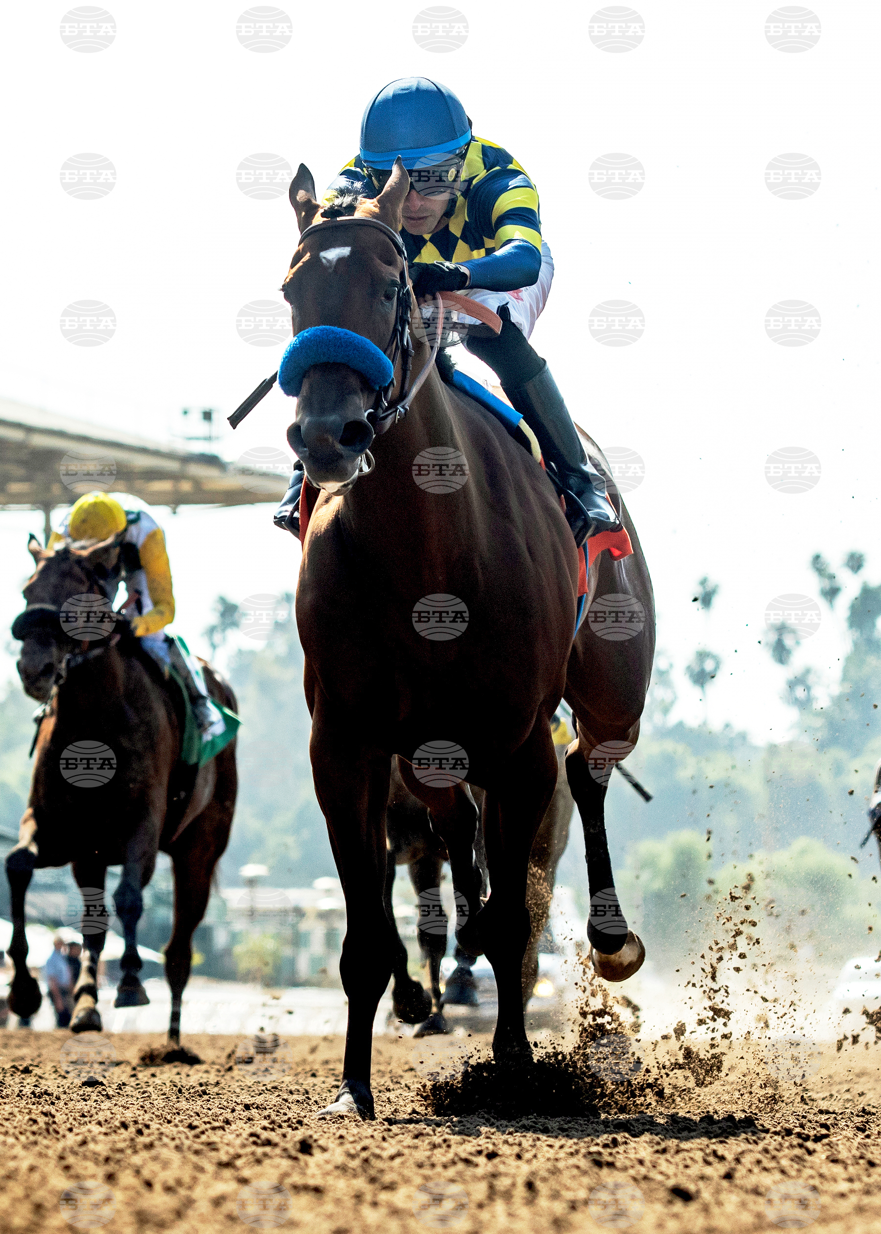Santa Anita Horse Racing
