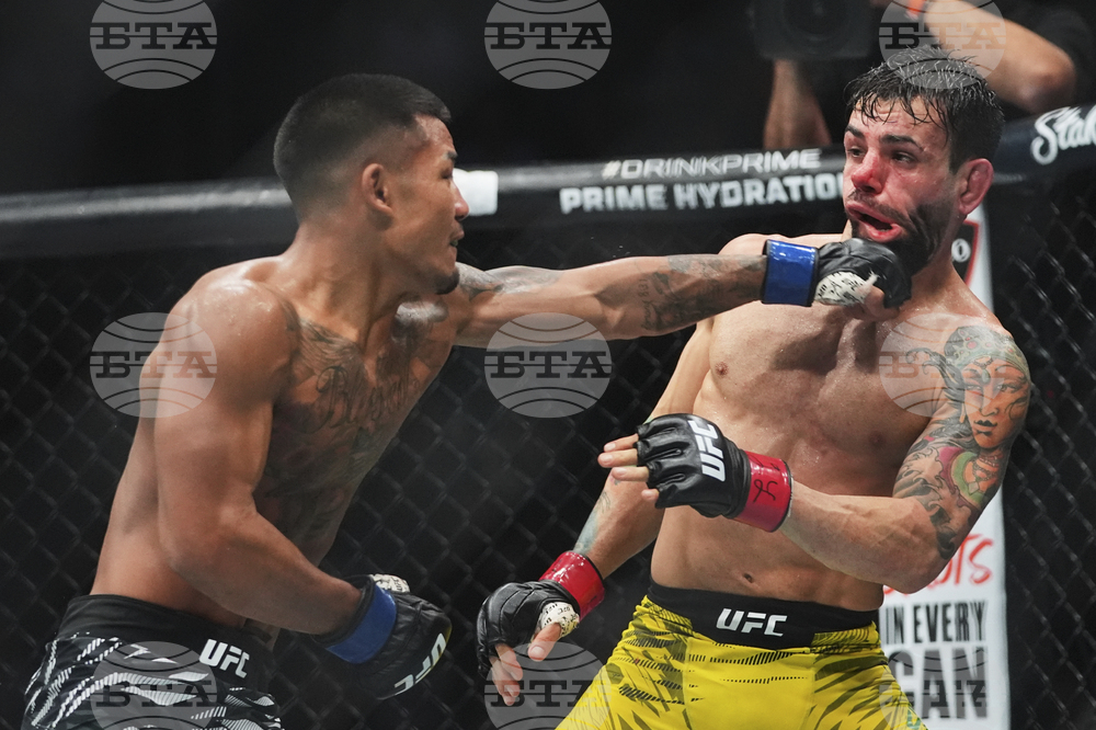 UFC 316 Mixed Martial Arts