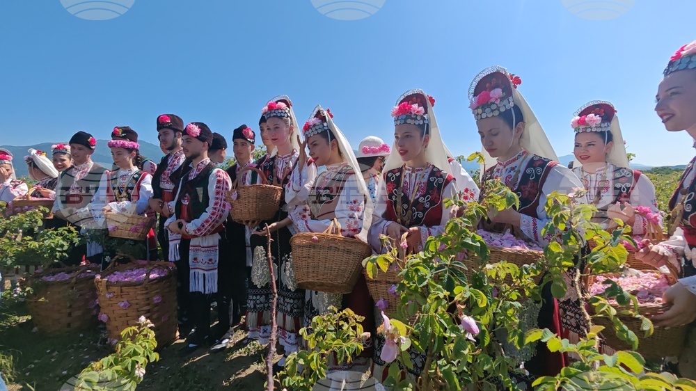 Гости от България и чужбина присъстваха на ритуала "Розобер" край Казанлък