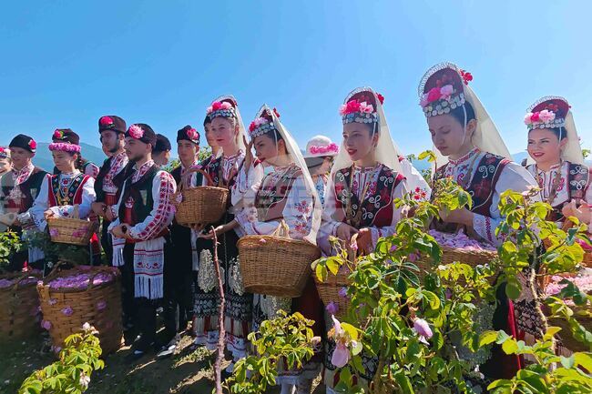 Bulgarian and International Visitors Attend Rose-Picking Ritual Near Kazanlak