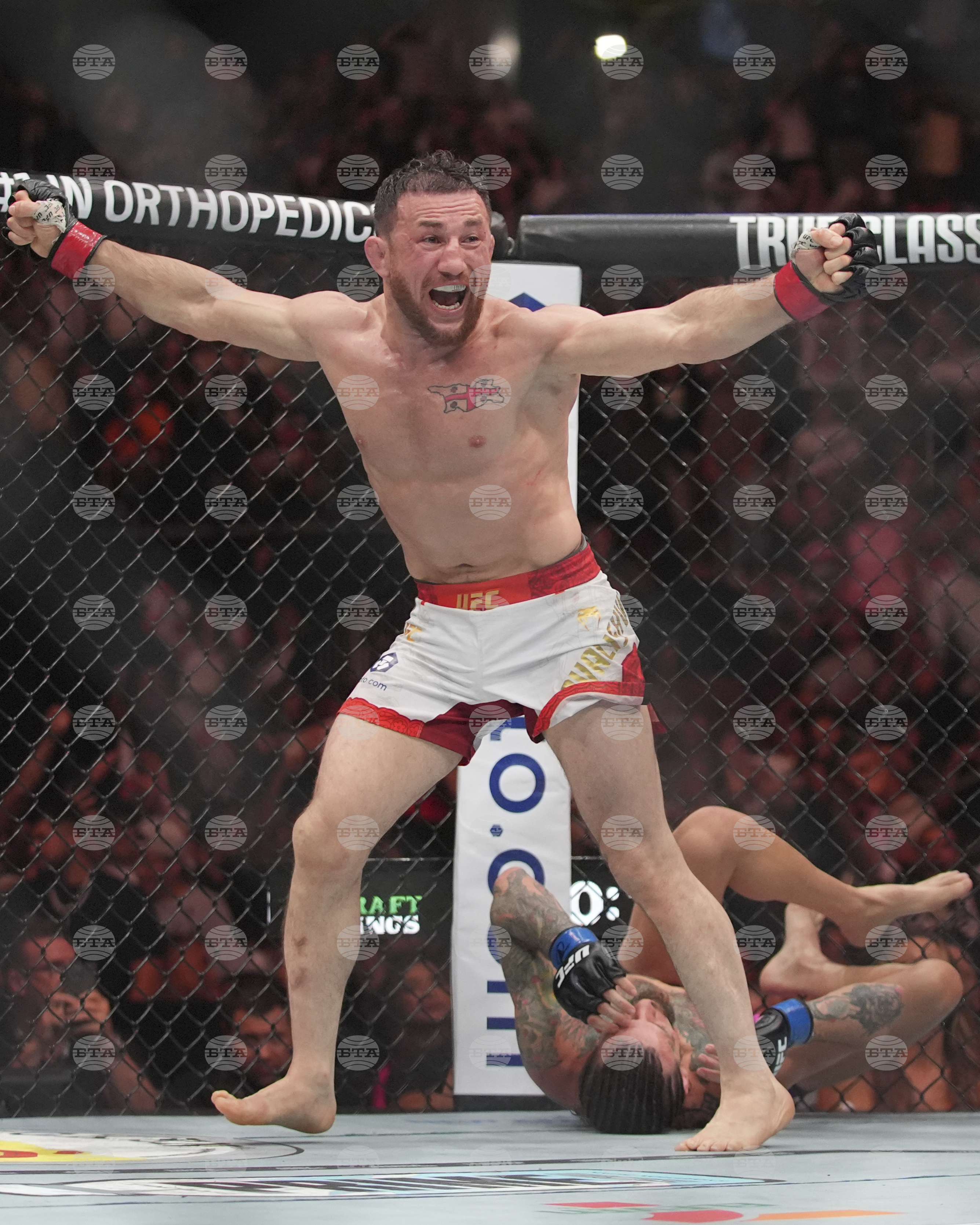 UFC 316 Mixed Martial Arts