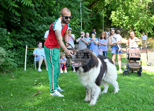 Киноложка изложба по повод празника на града направиха в Монтана