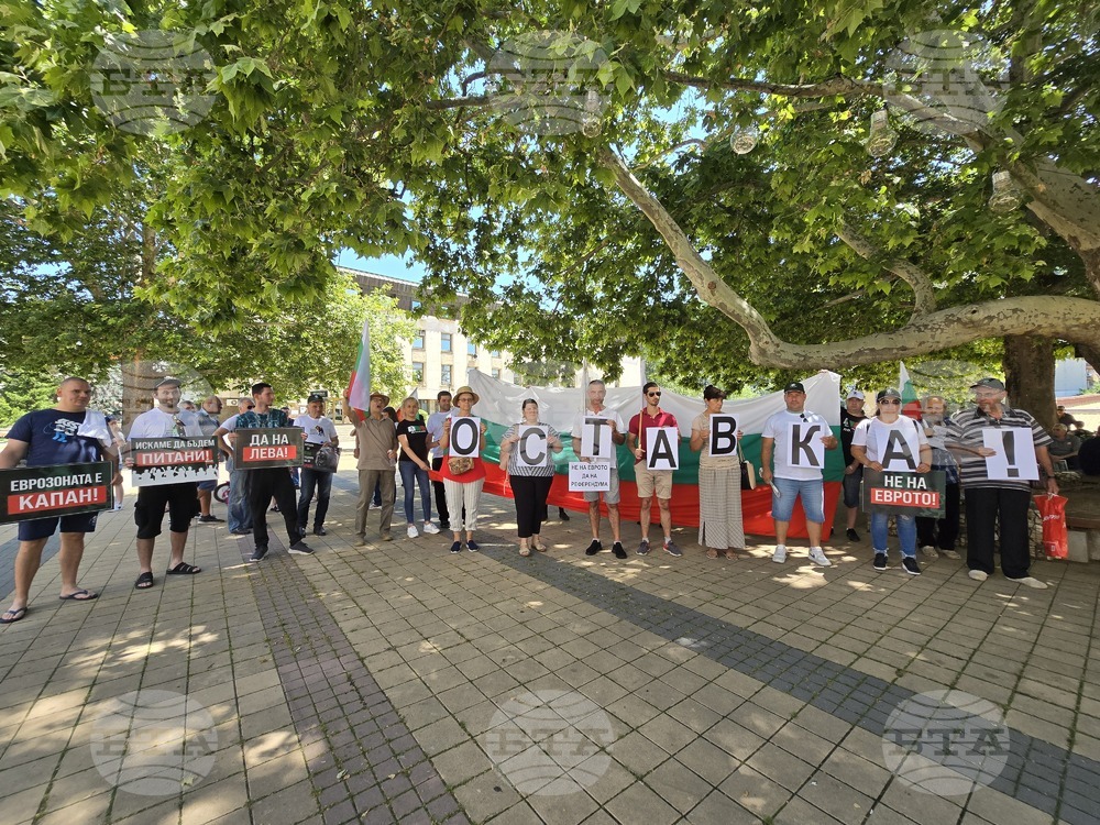 Ловеч - протест - евро