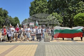 Ловеч - протест - евро