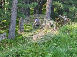 Снимка: Община Банско