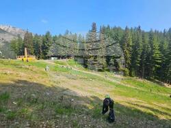 Снимка: Община Банско