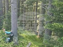 Снимка: Община Банско