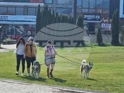 Снимка: Община Банско