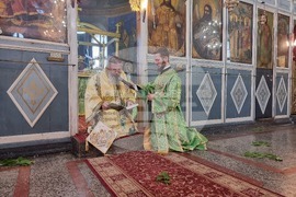 Асеновград - Петдесетница - литургия