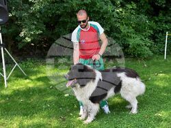 Монтана - киноложка изложба