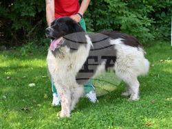 Монтана - киноложка изложба