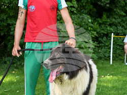 Монтана - киноложка изложба