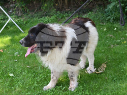 Монтана - киноложка изложба