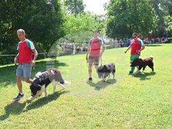 Монтана - киноложка изложба