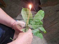 Разград - „Св. Николай Чудотворец“ - Петдесетница