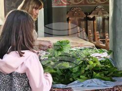 Разград - „Св. Николай Чудотворец“ - Петдесетница