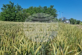 Село Загорци - трактор - паметник