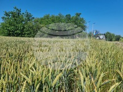 Село Загорци - трактор - паметник