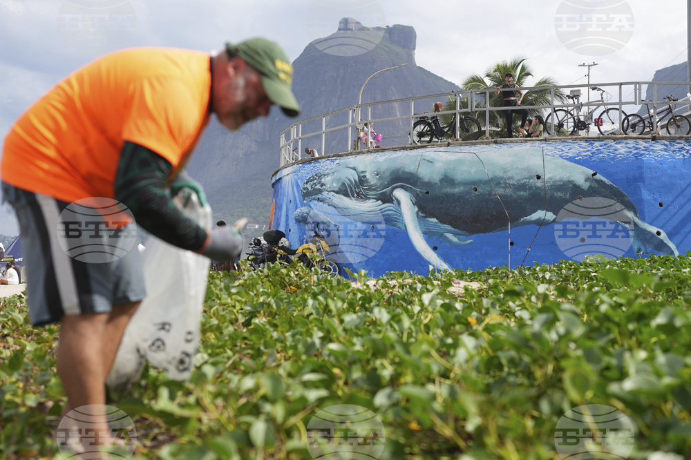 Brazil Oceans Day