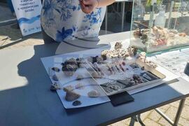 Бургас - Световен ден на Океана