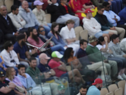 French Open Tennis