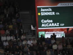 French Open Tennis