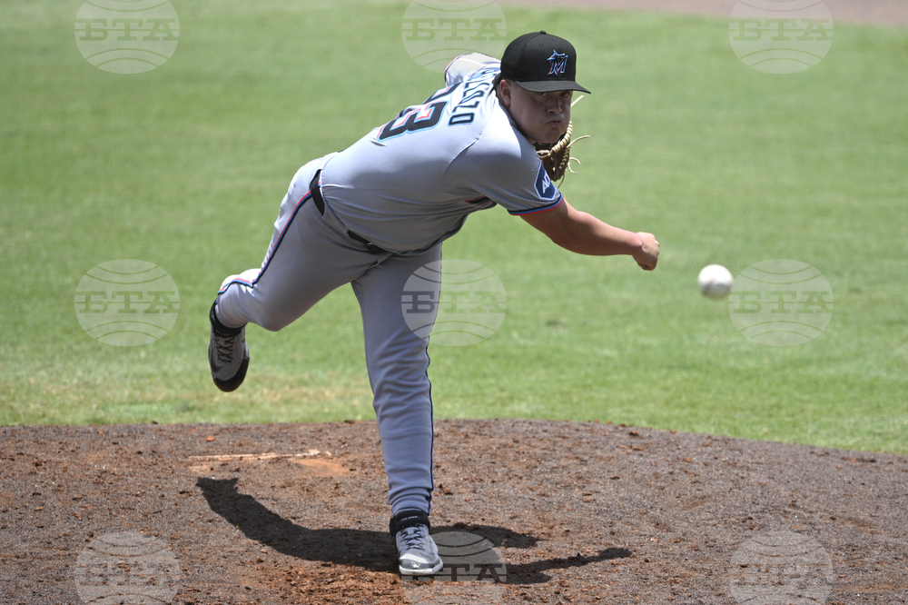 Marlins Rays Baseball