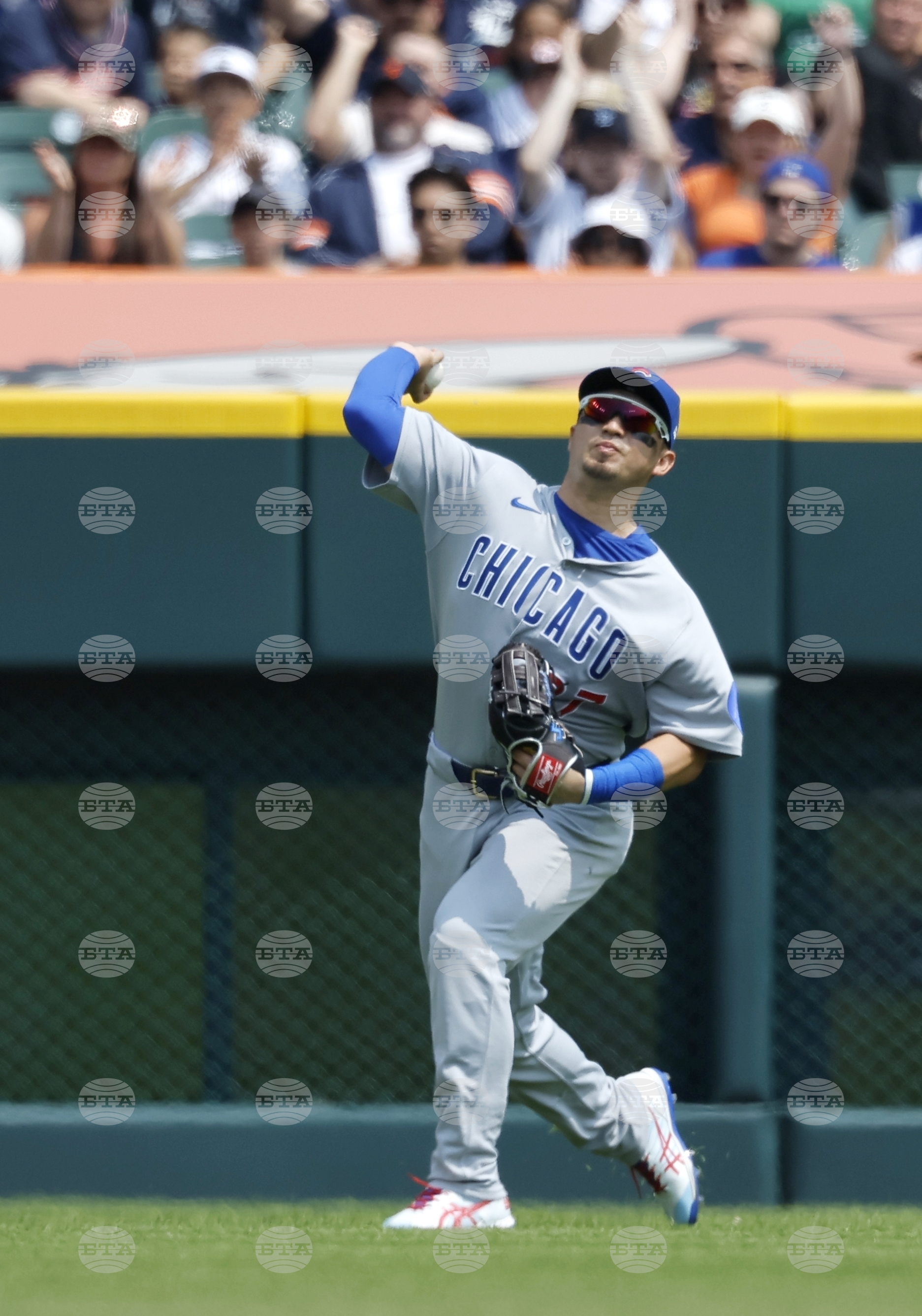 Cubs Tigers Baseball