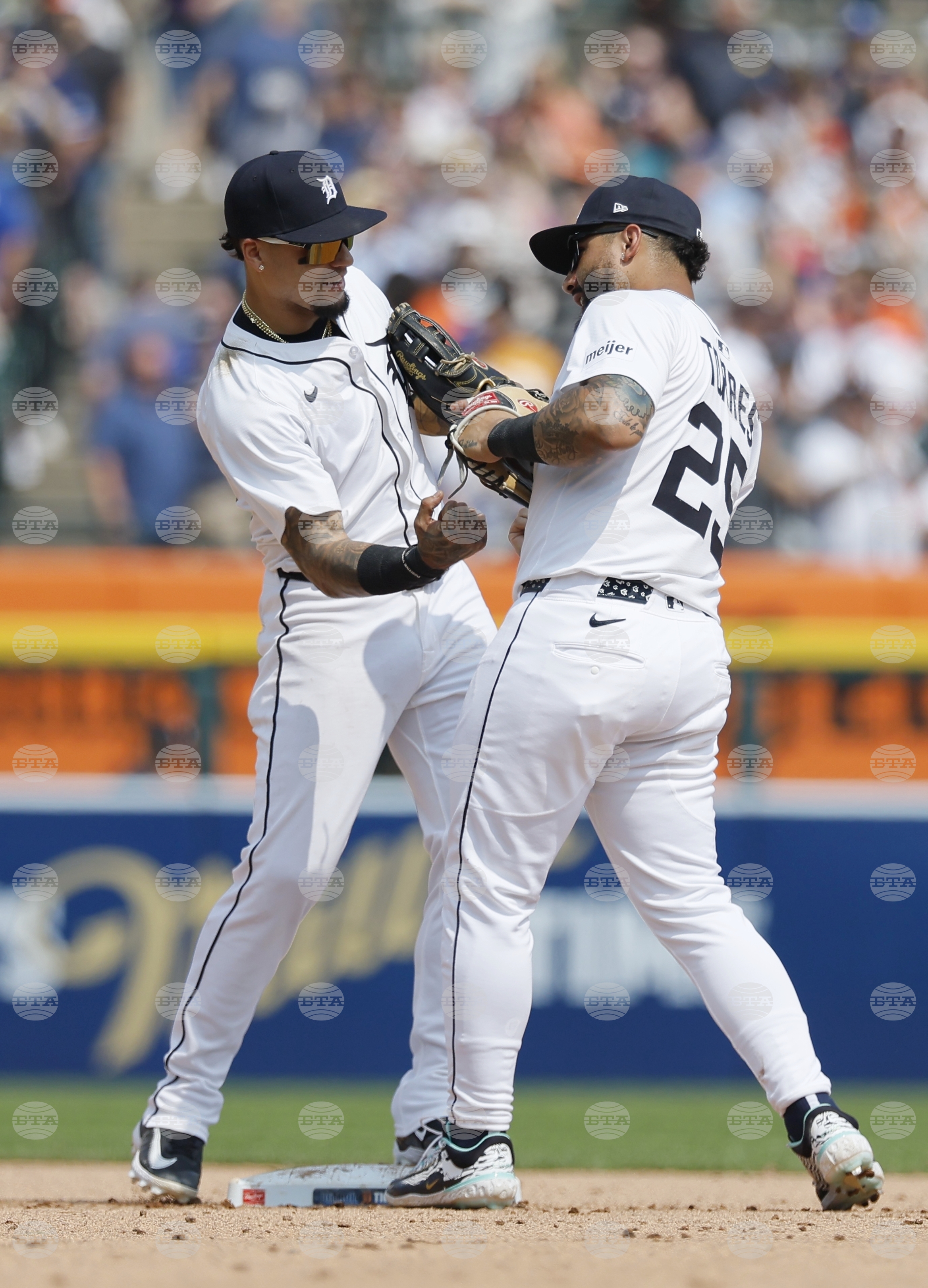 Cubs Tigers Baseball