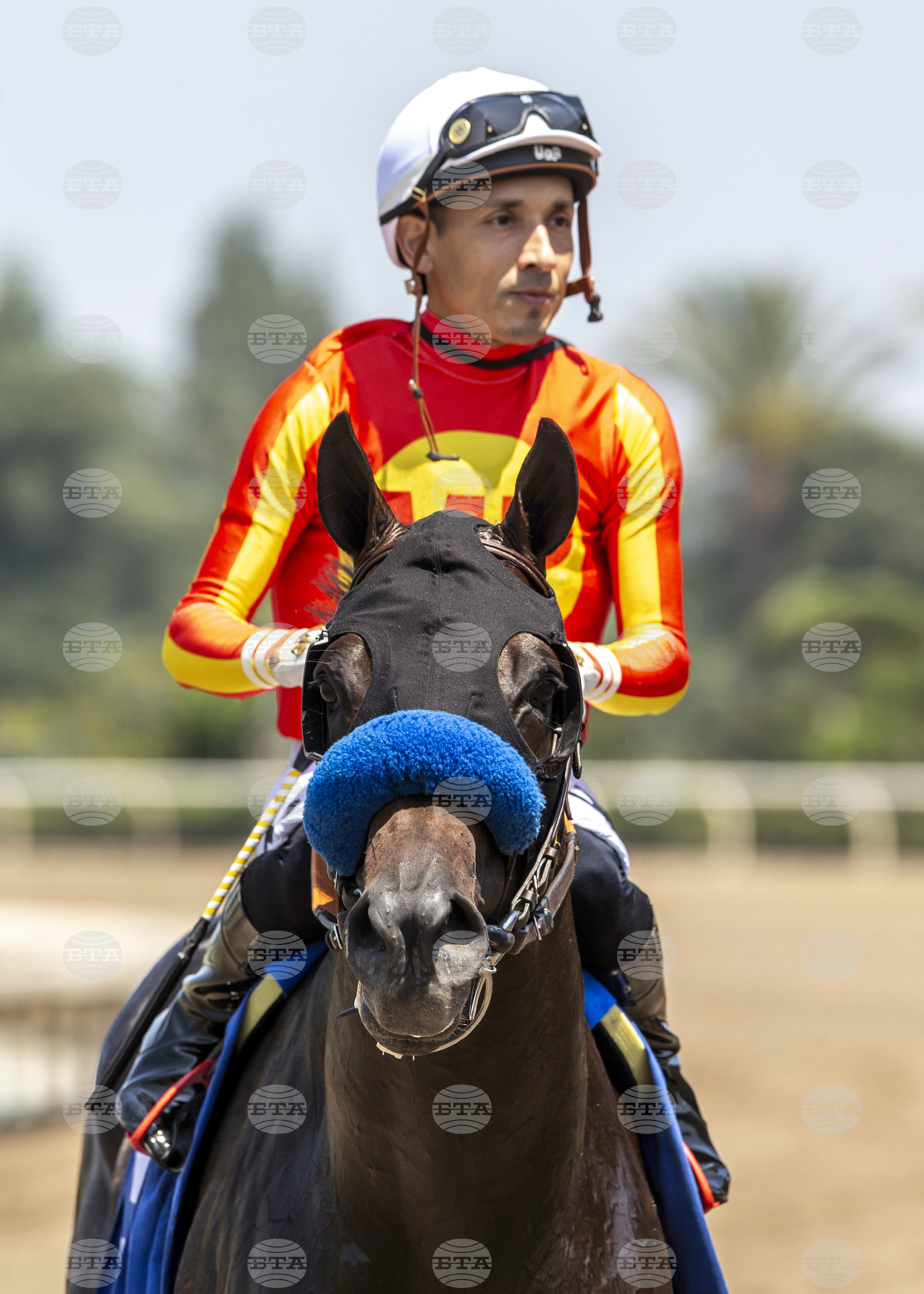 Santa Anita Horse Racing