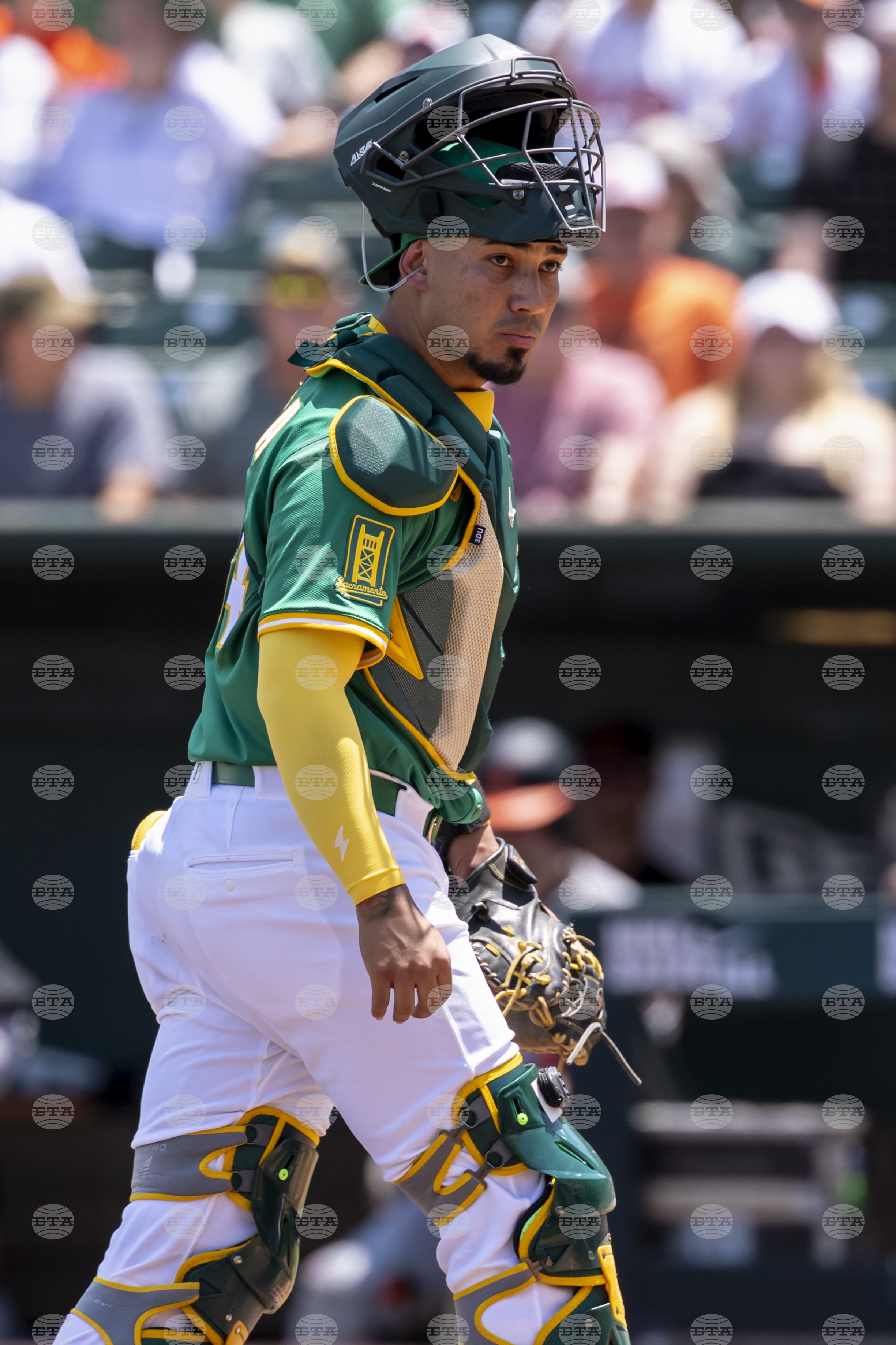 Orioles Athletics Baseball