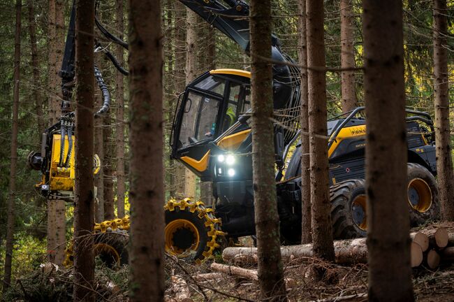 Timber Harvesting in Bulgaria Is Technologically Outdated by 100 Years - Branch Organization